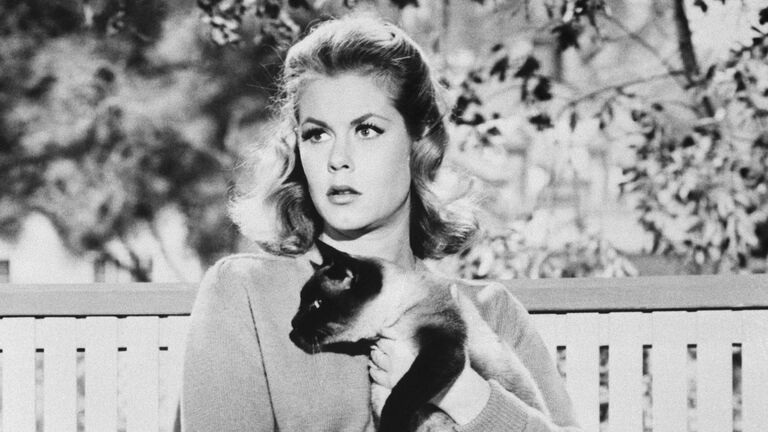 Elizabeth Montgomery as Samantha in Bewitched