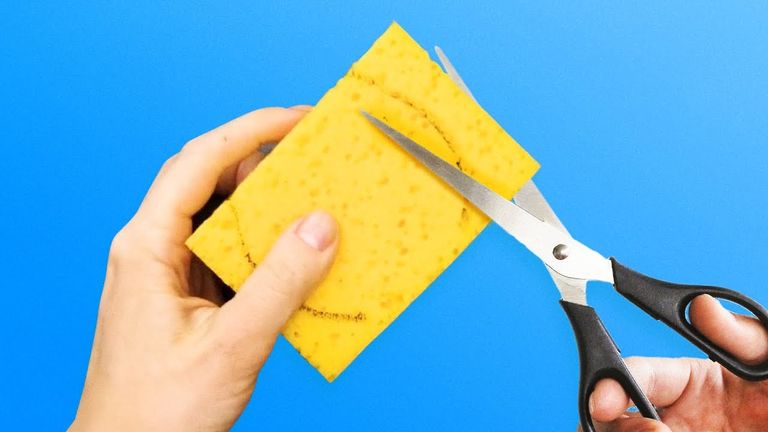 cut sponges in half