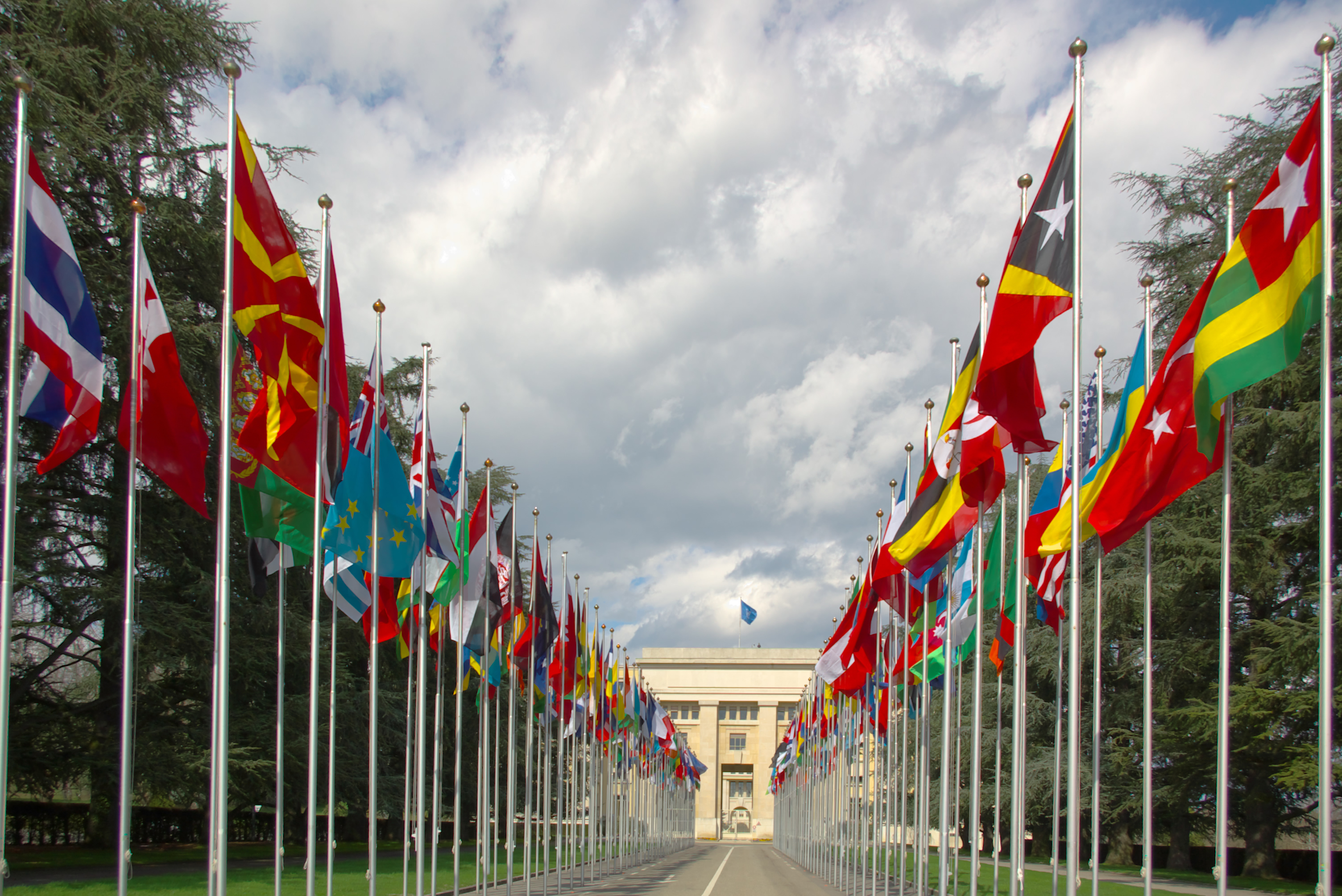 Мировое сообщество народов. Организация Объединенных наций (ООН). Международные организации ООН. Женева ООН флаги.