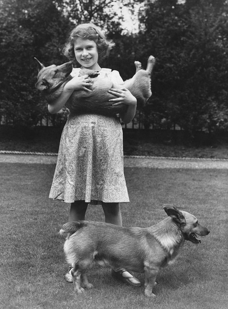 https://www.gettyimages.co.uk/detail/news-photo/princess-elizabeth-with-two-corgi-dogs-at-her-home-at-145-news-photo/91989814?adppopup=true