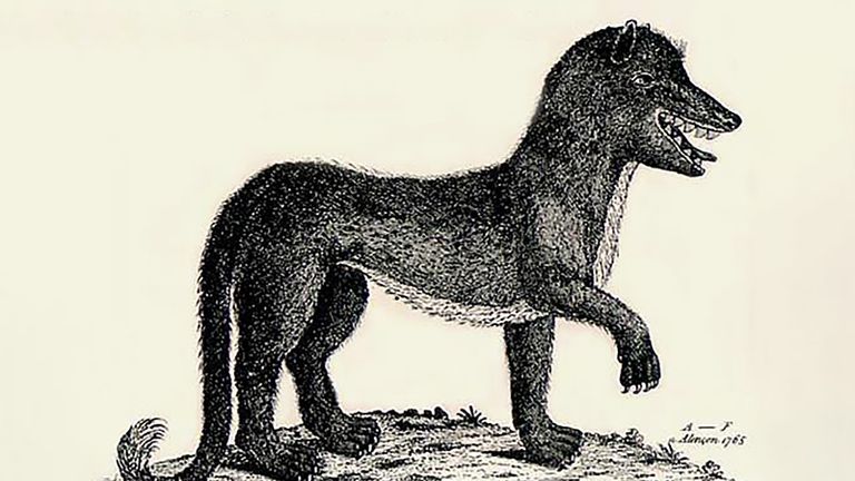Infamous Beast That Ravaged Medieval France