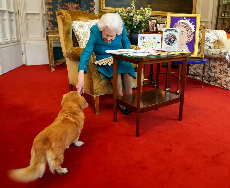 https://www.gettyimages.co.uk/detail/news-photo/queen-elizabeth-ii-is-joined-by-one-of-her-dogs-a-dorgi-news-photo/1238181351?phrase=Queen%20Elizabeth%202022&adppopup=true