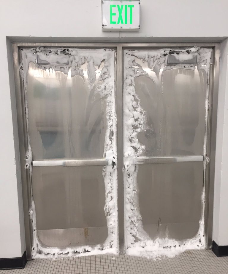 frozen doors