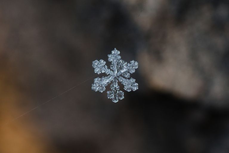 snowflake on web