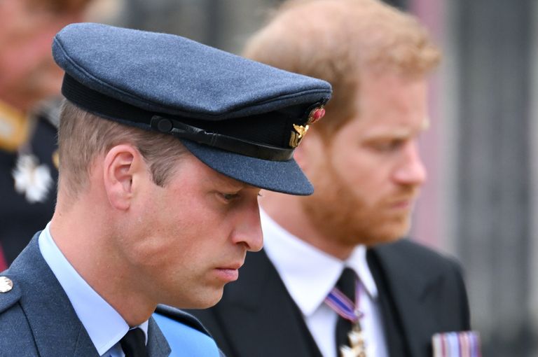 https://www.gettyimages.co.uk/detail/news-photo/prince-william-prince-of-wales-and-prince-harry-duke-of-news-photo/1425512661  Prince William Prince Harry