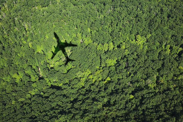https://www.gettyimages.co.uk/detail/photo/shadow-of-airplane-over-forest-royalty-free-image/95495228?phrase=plane%20in%20flight&adppopup=true