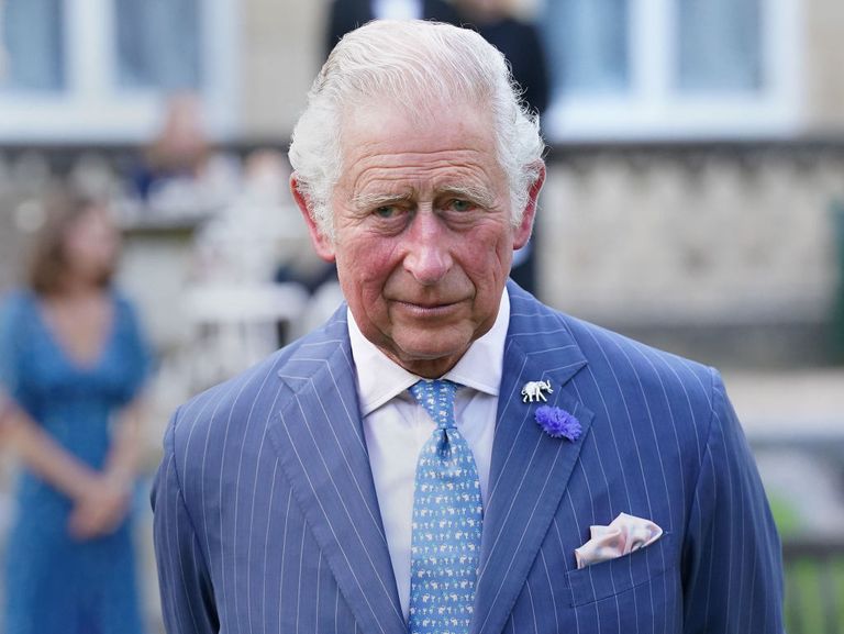 https://www.gettyimages.co.uk/detail/news-photo/prince-charles-prince-of-wales-attends-the-a-starry-night-news-photo/1233980062?phrase=king%20charles