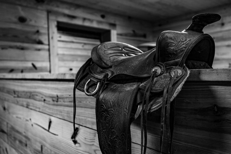 https://www.gettyimages.co.uk/detail/photo/closeup-grayscale-shot-of-a-saddle-on-a-wooden-wall-royalty-free-image/1442683175?phrase=empty%20old%20horse%20saddle