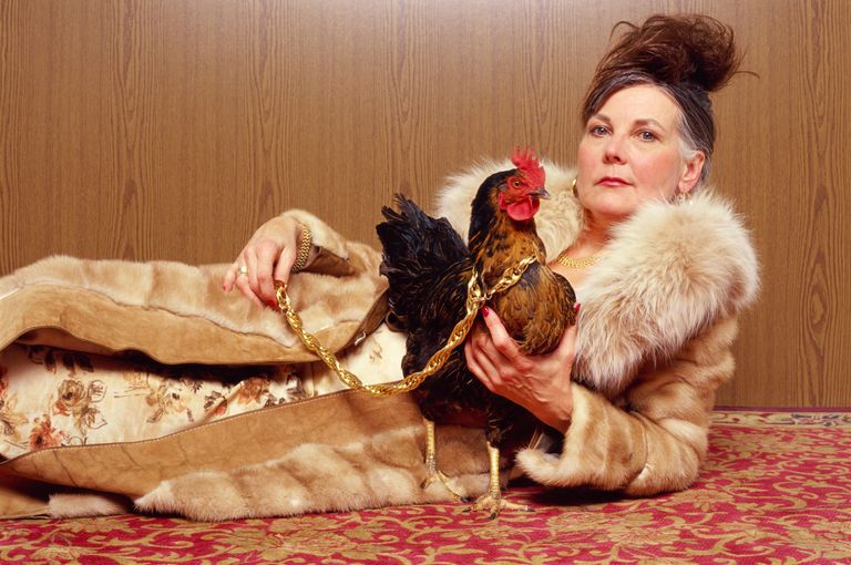 https://www.gettyimages.co.uk/detail/photo/woman-with-chicken-royalty-free-image/523350354?phrase=strange%20stock&adppopup=true