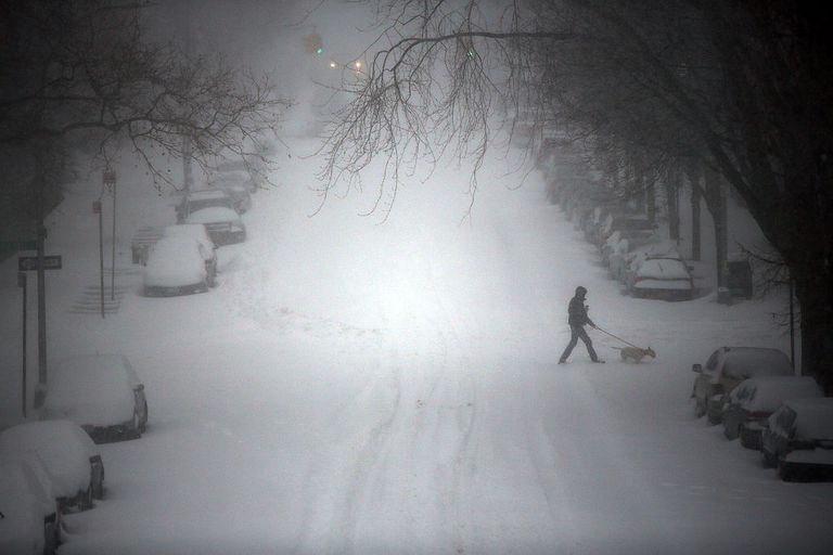 https://www.gettyimages.co.uk/detail/news-photo/person-walks-a-dog-through-blizzard-like-conditions-on-news-photo/506410832?phrase=%20Ice%20storm%20US