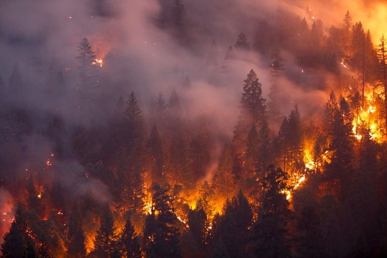 https://www.gettyimages.co.uk/detail/news-photo/forest-burns-in-the-carr-fire-on-july-30-2018-west-of-news-photo/1008050668?phrase=Wildfires%20in%20California%20