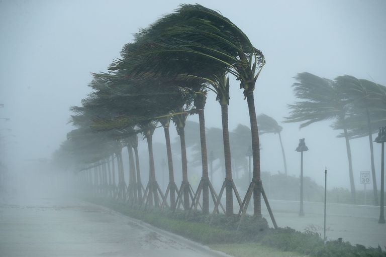 https://www.gettyimages.co.uk/detail/news-photo/trees-bend-in-the-tropical-storm-wind-along-north-fort-news-photo/845340462?phrase=%20wind%20US
