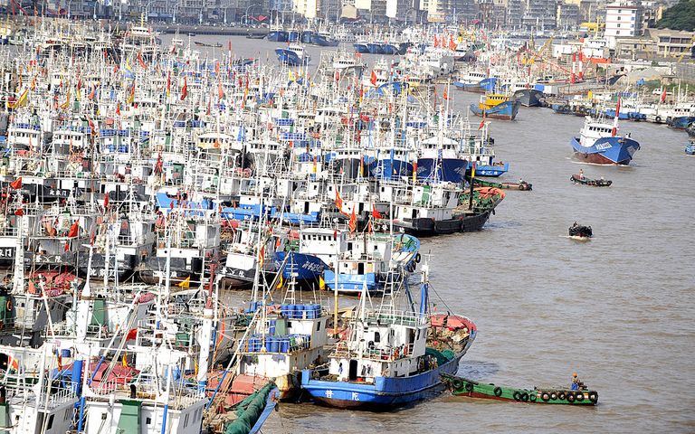 https://www.gettyimages.com/detail/news-photo/fishing-boats-dock-in-shenjiamen-fishing-port-to-take-news-photo/120357061?adppopup=true