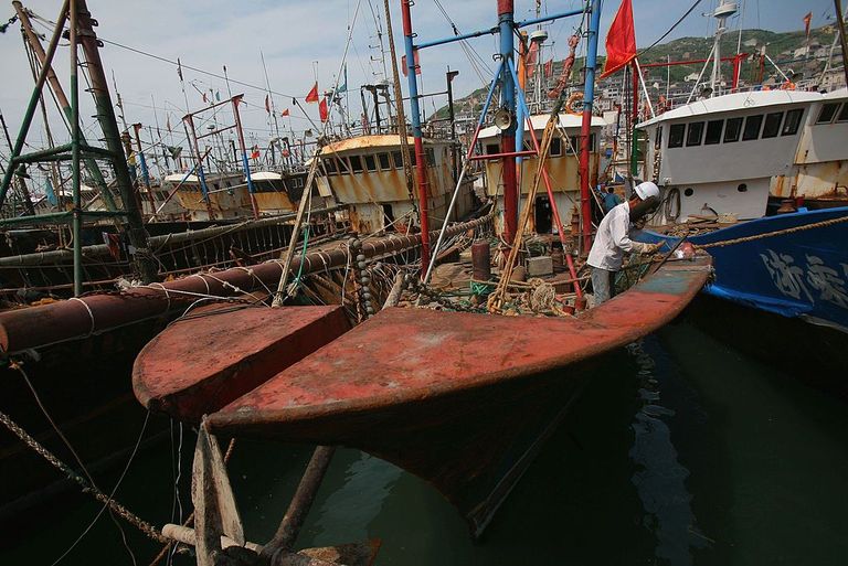 https://www.gettyimages.com/detail/news-photo/fisherman-repairs-a-fishing-boat-at-coastal-shengshan-news-photo/71352600?adppopup=true