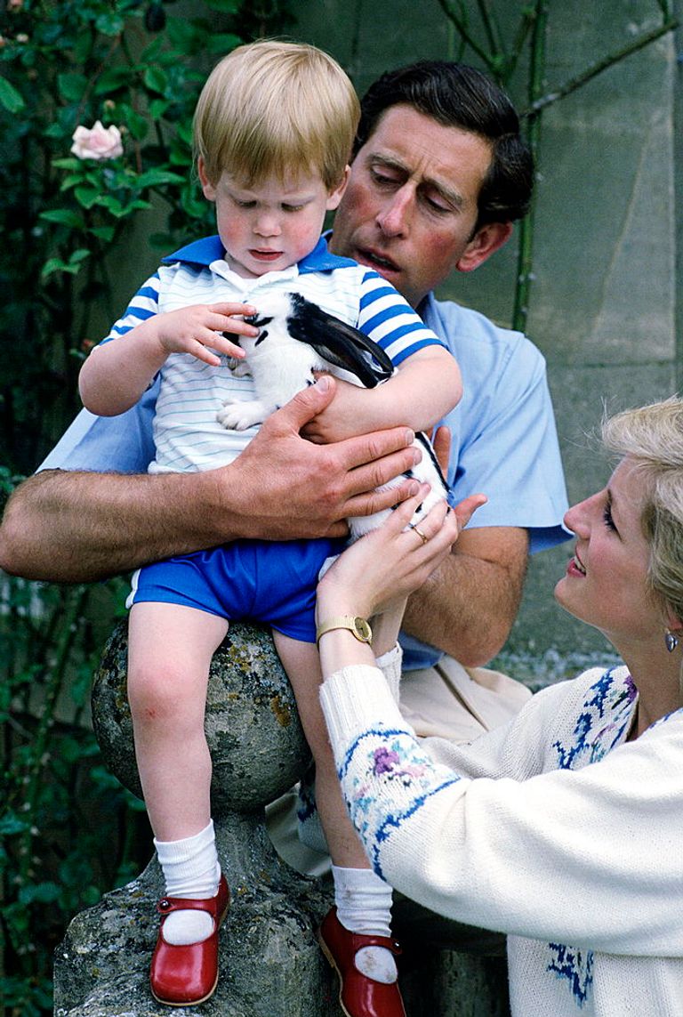 https://www.gettyimages.co.uk/detail/news-photo/the-family-pet-rabbit-is-held-by-prince-harry-with-his-news-photo/52118971?phrase=royal%20family%20pet&adppopup=true