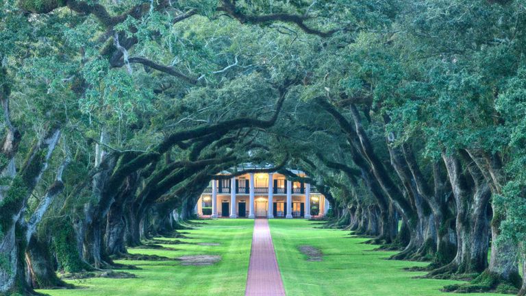 https://www.gettyimages.co.uk/detail/news-photo/deep-south-louisiana-great-river-road-oak-alley-plantation-news-photo/1288669210?adppopup=true