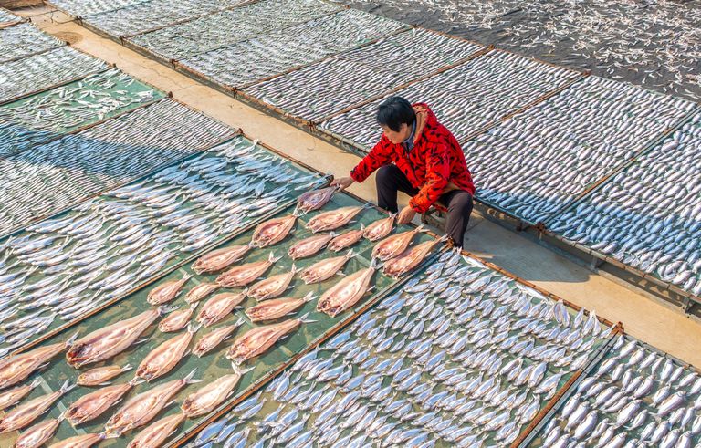 https://www.gettyimages.co.uk/detail/news-photo/aerial-view-of-fishermen-arranging-fish-to-dry-on-the-banks-news-photo/1468075385?adppopup=true