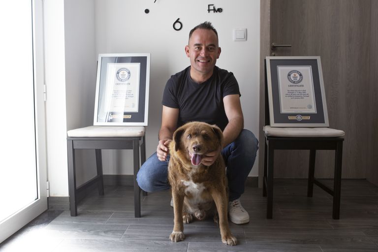 https://www.gettyimages.com/detail/news-photo/leonel-costa-owner-and-31-year-old-dog-bobi-pose-with-news-photo/1507211256?adppopup=true