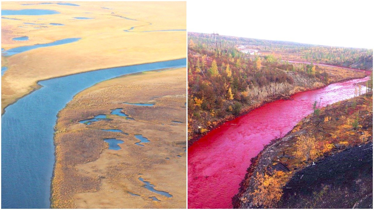 Бывает красная река. Красная река Далдыкан. Норильск красная река Далдыкан. Кровавая река Далдыкан. Озеро Далдыкан.